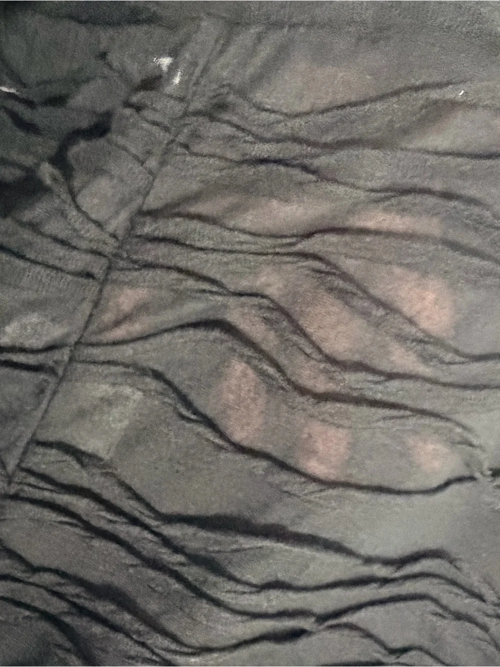 White Fox SHEER Black Textured Leggings